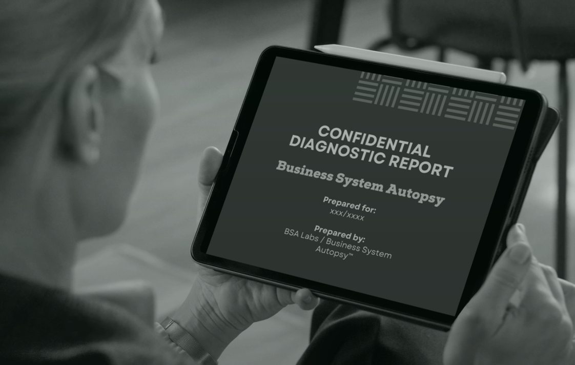 Sample cover of a confidential BSA Labs diagnostic report
